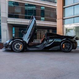 
										Mclaren 600 LT full									