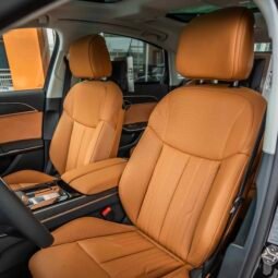 
										Audi 55 TFSI full									