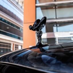 
										Rolls Royce Cullinan Mansory full									