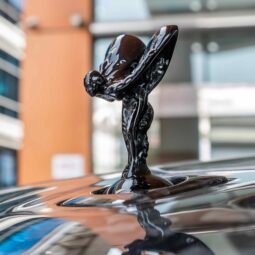 
										Rolls Royce Mansory full									