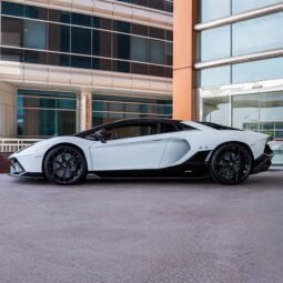 
										Lamborghini Aventador full									