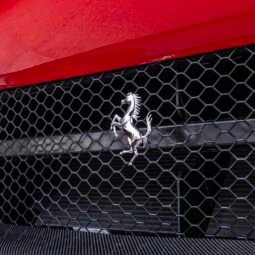 
										Ferrari Purosangue full									