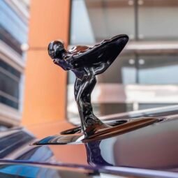 
										Rolls Royce Spectre full									